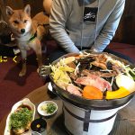 おもちとお出掛け〜たるの店 山麓苑〜