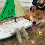 おもちとお出掛け〜わんわんマルシェinマイアミ浜オートキャンプ場〜